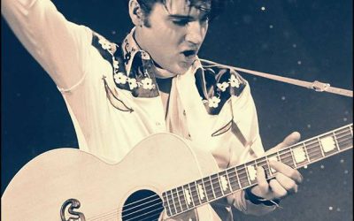 Elvis in Concert