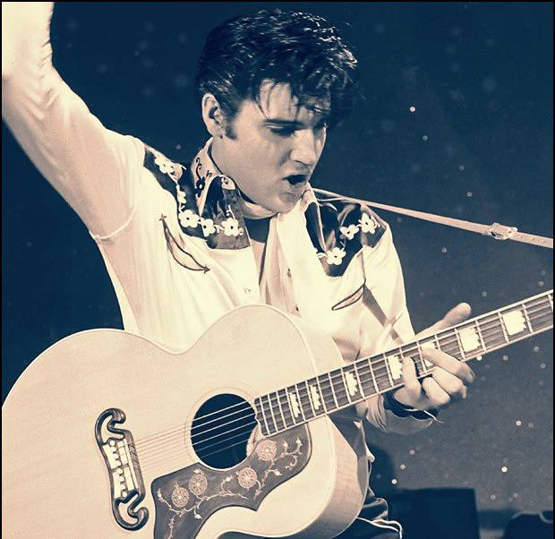 Elvis in Concert