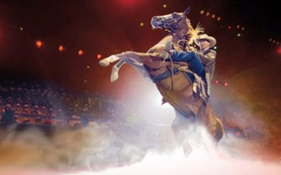 Cowboy Mania on the Gold Coast – National Finals Rodeo 2012
